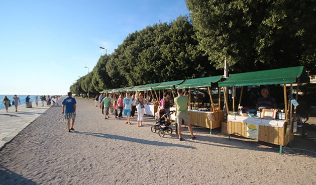 Dani sunca (foto:Saša Čuka)