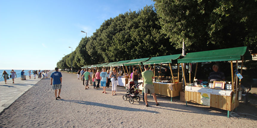 Dani sunca (foto:Saša Čuka)