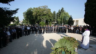 Image 1054219 (auto)