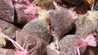 Eko Zadar: Sajam meda i ljekovitog bilja, Foto: Angelo Virag