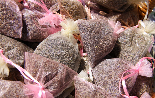 Eko Zadar: Sajam meda i ljekovitog bilja, Foto: Angelo Virag