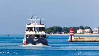 Image 380443 (auto) Image 380443 (auto)