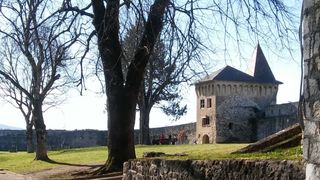 Prijepodne u Cazinu, Kostelski buk i posjet tvrđavi Ostrožac