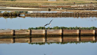 Nin: Prvi rođendan Muzeja soli