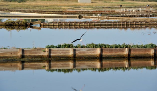 Nin: Prvi rođendan Muzeja soli