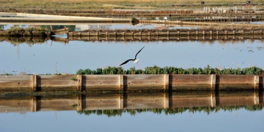Nin: Prvi rođendan Muzeja soli Nin: Prvi rođendan Muzeja soli