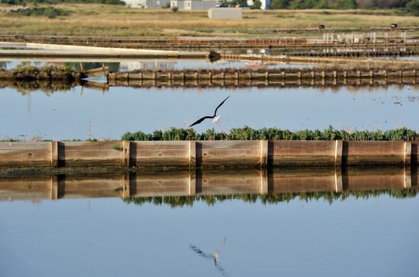 Nin: Prvi rođendan Muzeja soli