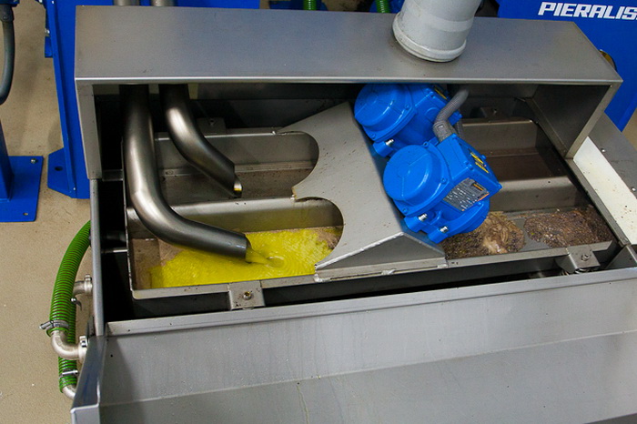 Put masline od stabla do djevicanskog ulja, Foto: Leo Banic Put masline od stabla do djevicanskog ulja, Foto: Leo Banic