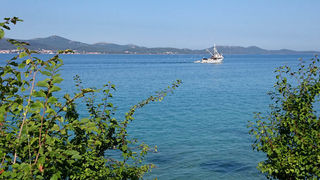 Jutarnji đir Puta Bajlom, foto: Iva Perinčić