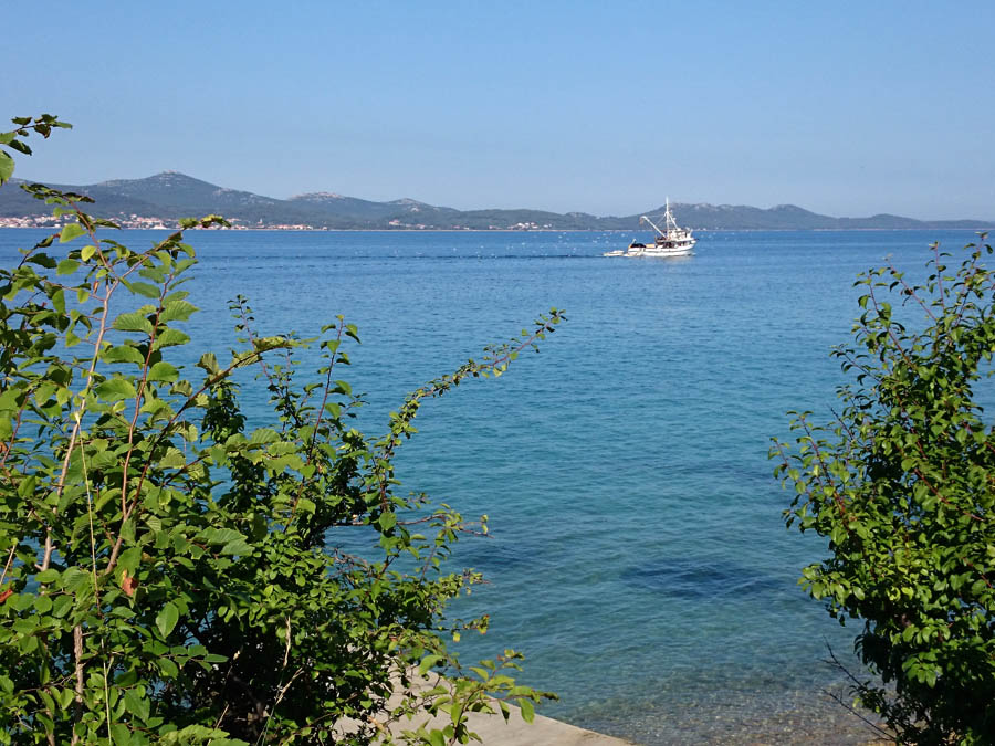 Jutarnji đir Puta Bajlom, foto: Iva Perinčić