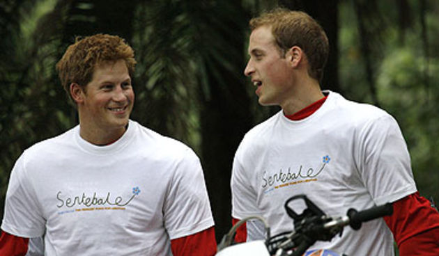 Harry i William (Foto: news.sky.com)