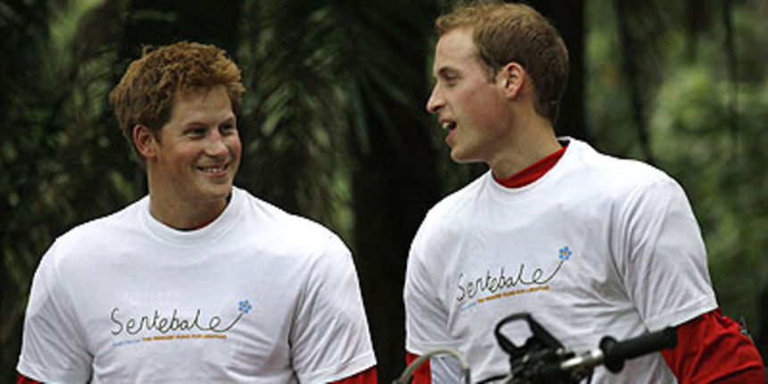 Harry i William (Foto: news.sky.com)