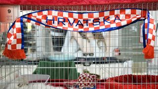 Međunarodna izložba mačaka