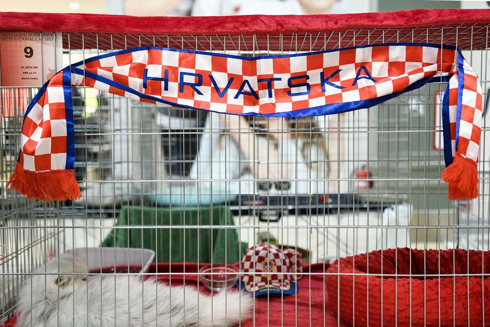 Međunarodna izložba mačaka