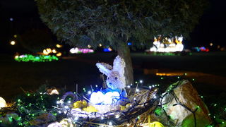 Cazma, 060412.
Obitelj Salaj iz Grabovnice kraj Cazme po prvi je put po uzoru na bozicni ugodjaj priredila i “Uskrsnu pricu”. Za tu su priliku imanje ukrasili s 2700 pisanica, zeceva, pilica i pijetlova koji svijetle po noci i ostavljaju posjetioce bez da