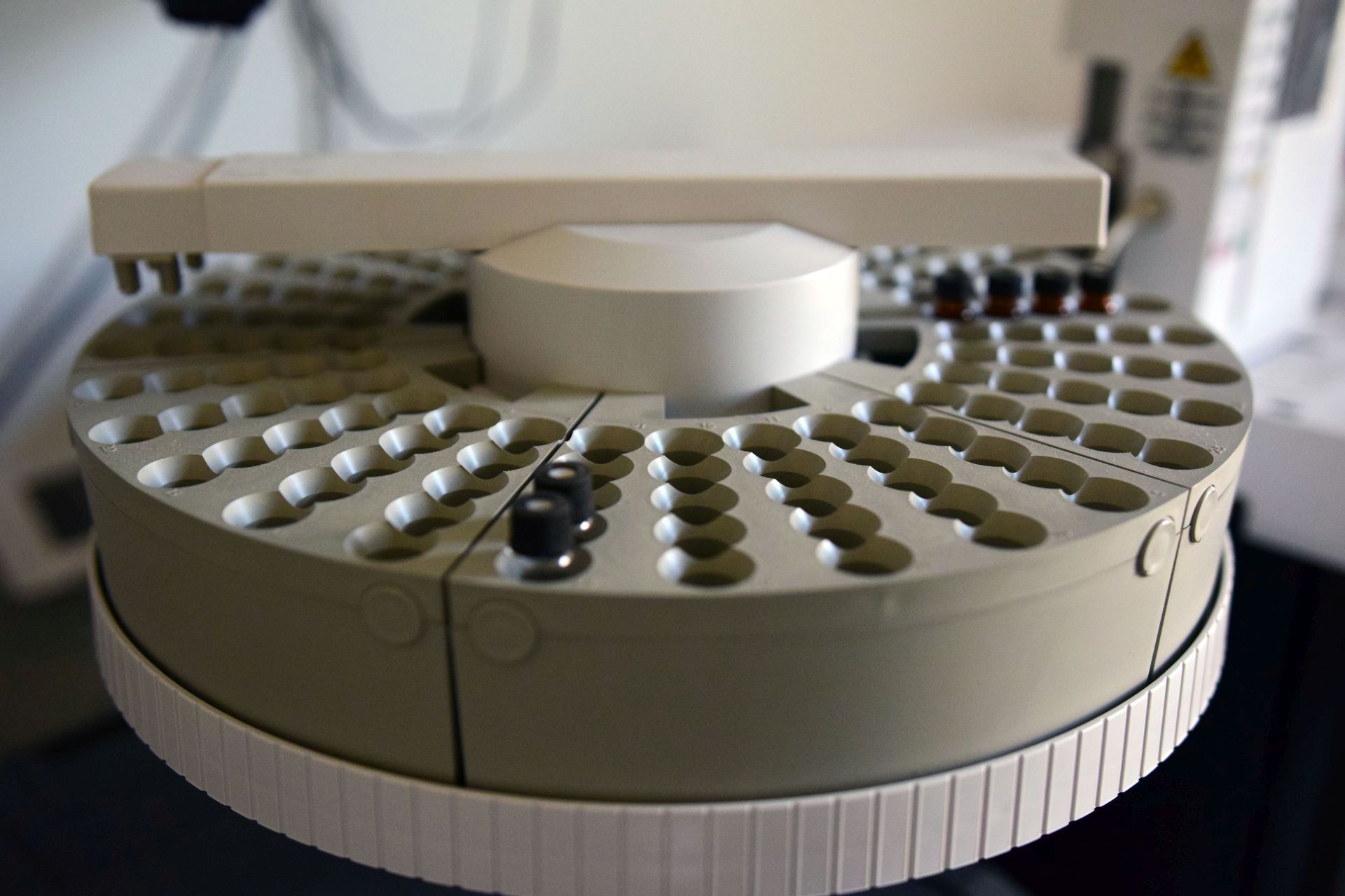 Strani studenti na združenom studiju Biotehnologija mora Strani studenti na združenom studiju Biotehnologija mora