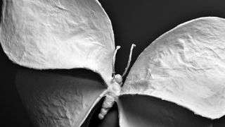 Image 879683 (auto) Image 879683 (auto)