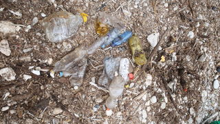 Mljet: Nasukana morska sirena Mljet: Nasukana morska sirena