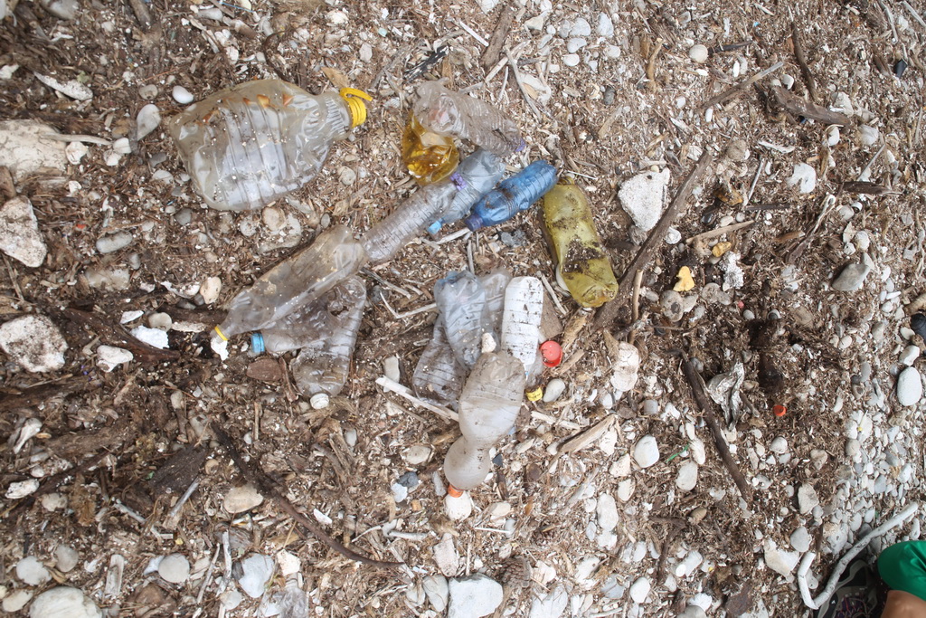 Mljet: Nasukana morska sirena Mljet: Nasukana morska sirena