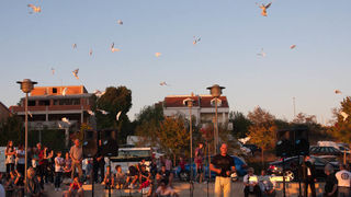 Bili Brig kod Ošk. Zadarski otoci: Svečanost imenovanja trga po D.T. Gavranu, foto: Darko Belančić