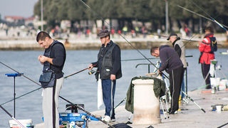Kup sv. Krševana – Natjecanje u ribolovu s rive (foto:Saša Čuka) Kup sv. Krševana – Natjecanje u ribolovu s rive (foto:Saša Čuka)