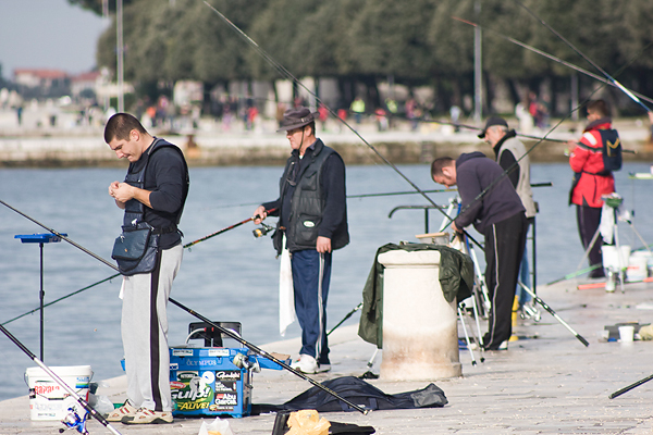 Kup sv. Krševana – Natjecanje u ribolovu s rive (foto:Saša Čuka) Kup sv. Krševana – Natjecanje u ribolovu s rive (foto:Saša Čuka)