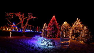 Cazma, 161209.
Grabovnica pokraj Cazme – Bozicna prica obitelji Salaj.
Zlatko Salaj ukrasio je i ove godine cijelo imanje s oko 1 milijun lampica. 
Za posjetitelje ce imanje biti otvoreno od subote 19.12. – 06. sijecnja od 17 h -21h.
Foto: Goran Mehkek /