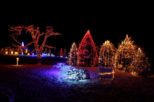 Cazma, 161209.
Grabovnica pokraj Cazme – Bozicna prica obitelji Salaj.
Zlatko Salaj ukrasio je i ove godine cijelo imanje s oko 1 milijun lampica. 
Za posjetitelje ce imanje biti otvoreno od subote 19.12. – 06. sijecnja od 17 h -21h.
Foto: Goran Mehkek /