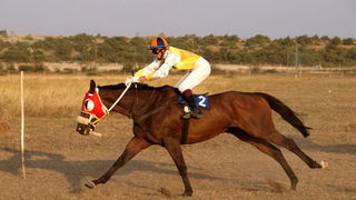 Polaca, utrke konja Oluja 95 Polaca, utrke konja Oluja 95