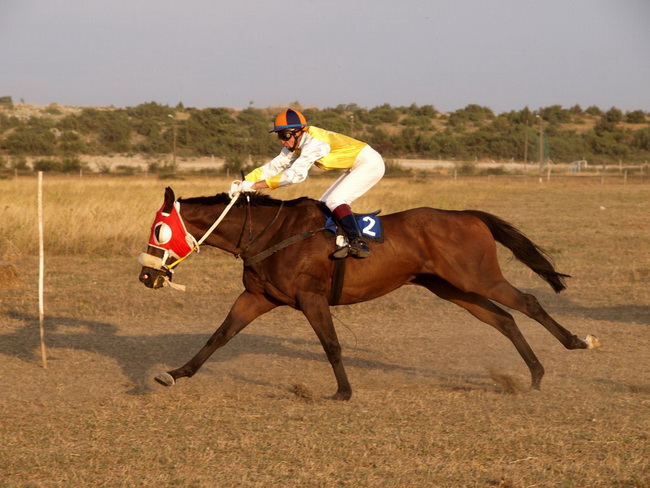 Polaca, utrke konja Oluja 95 Polaca, utrke konja Oluja 95