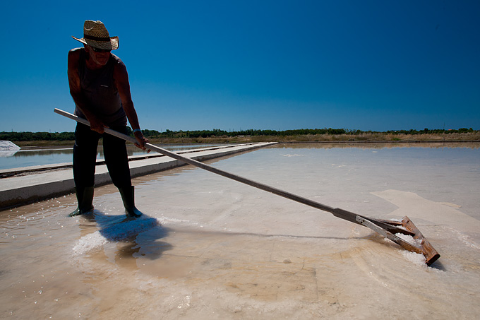 Solana Nin, berba soli, foto: Leo Banić