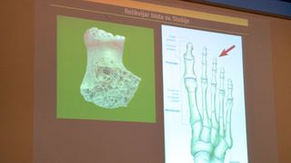 Otkrivene tajne relikvija zadarskih zaštitnika Otkrivene tajne relikvija zadarskih zaštitnika