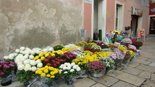 Gradska trznica uoci dana mrtvih, Foto: Mia Knezevic