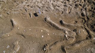 5. Festival pijeska na Kraljičinoj plaži u Ninu 5. Festival pijeska na Kraljičinoj plaži u Ninu