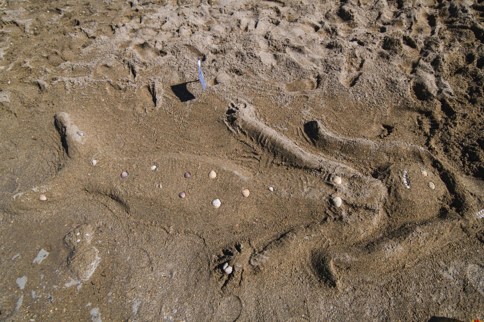 5. Festival pijeska na Kraljičinoj plaži u Ninu 5. Festival pijeska na Kraljičinoj plaži u Ninu