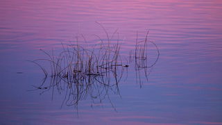 OLYMPUS DIGITAL CAMERA OLYMPUS DIGITAL CAMERA