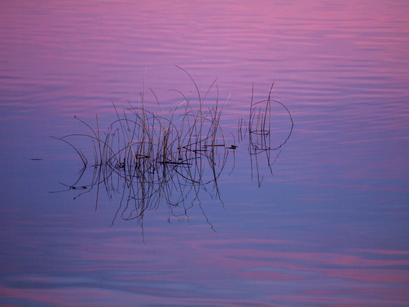 OLYMPUS DIGITAL CAMERA OLYMPUS DIGITAL CAMERA