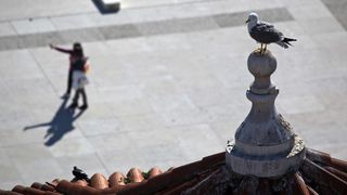 Zadar: Panoramski pogled na grad sa zvonika svete Stošije, foto: Filip Brala/PIXSELL