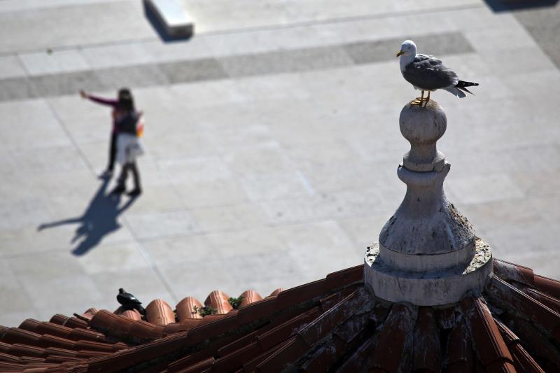 Zadar: Panoramski pogled na grad sa zvonika svete Stošije, foto: Filip Brala/PIXSELL
