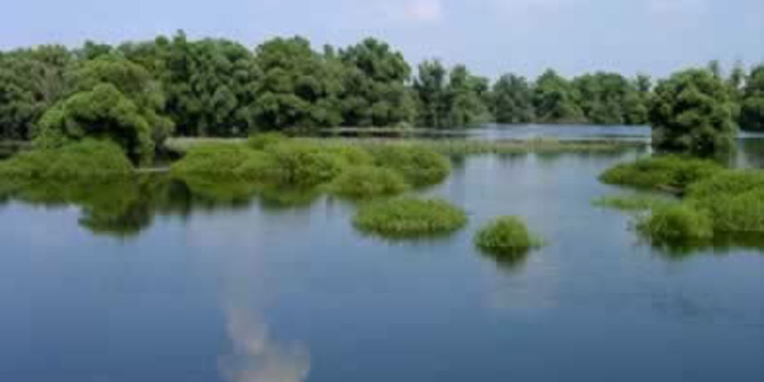 Kopački rit Kopački rit