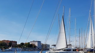 Đir po gradu 19. listopada 2016.