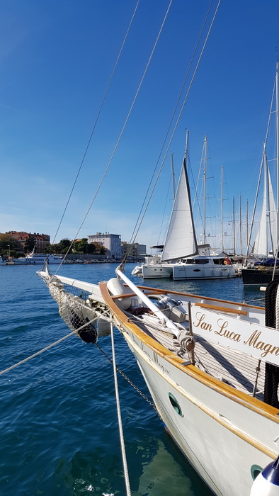 Đir po gradu 19. listopada 2016.