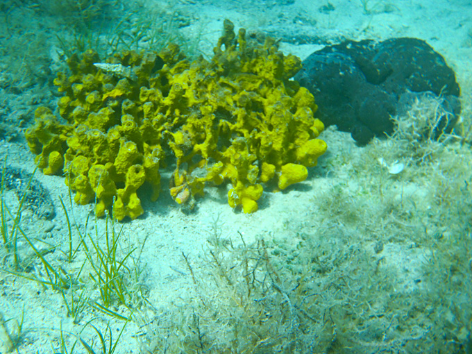 OLYMPUS DIGITAL CAMERA OLYMPUS DIGITAL CAMERA