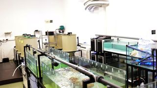 Strani studenti na združenom studiju Biotehnologija mora Strani studenti na združenom studiju Biotehnologija mora