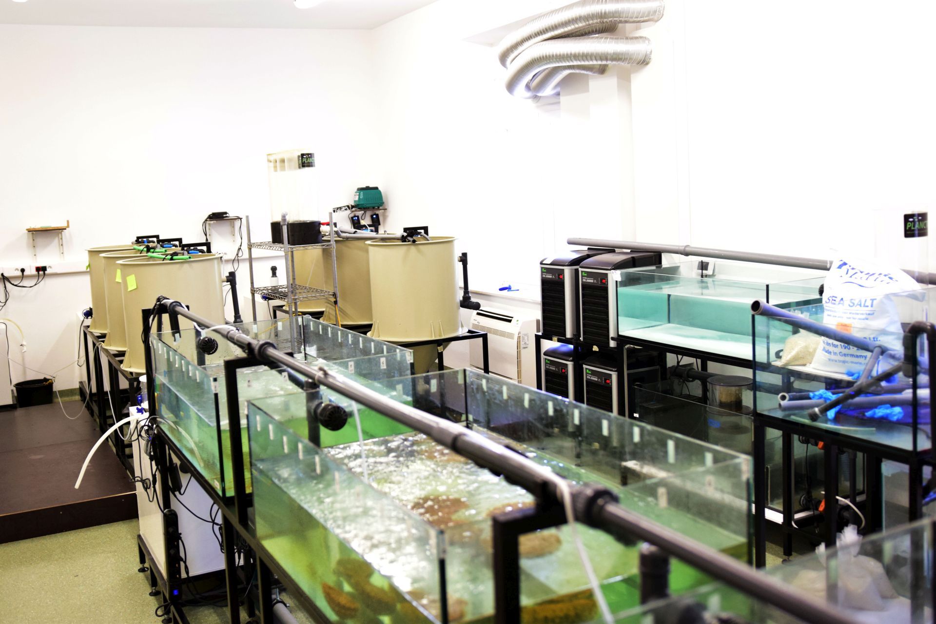 Strani studenti na združenom studiju Biotehnologija mora Strani studenti na združenom studiju Biotehnologija mora