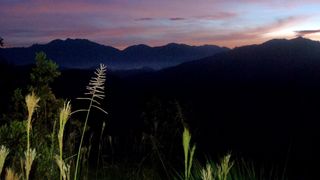 Tropske ptice u kolumbijskom Parque National Natural Tatamá u zapadnim Andama. Foto: Maja Bjelić