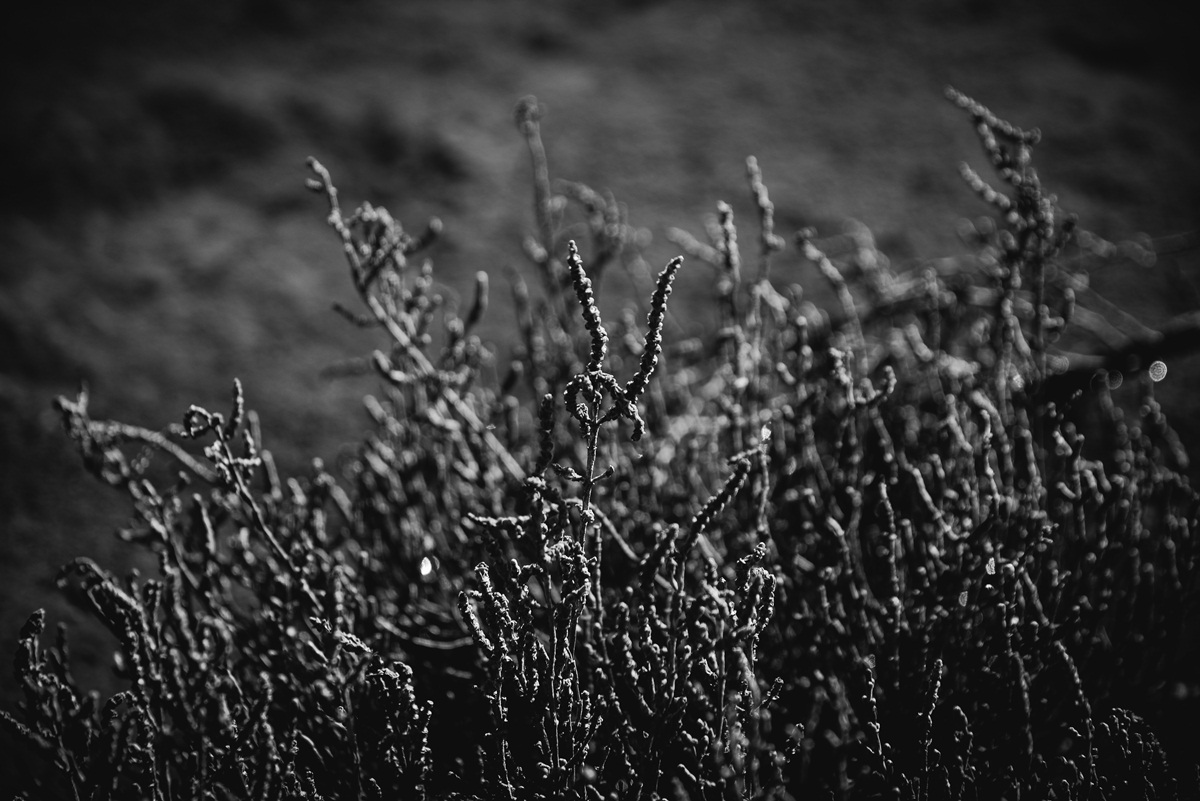 Crno bijela bajka na Kraljičinoj plaži, foto: Iva Perinčić