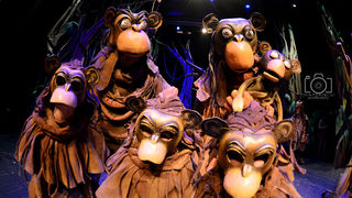 Knjiga o džungli, foto: Iva Perinčić Knjiga o džungli, foto: Iva Perinčić