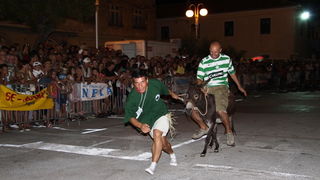 Image 1088963 (auto)