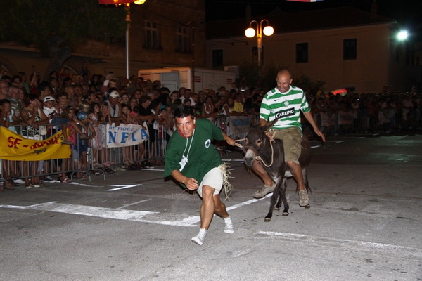 Image 1088963 (auto)